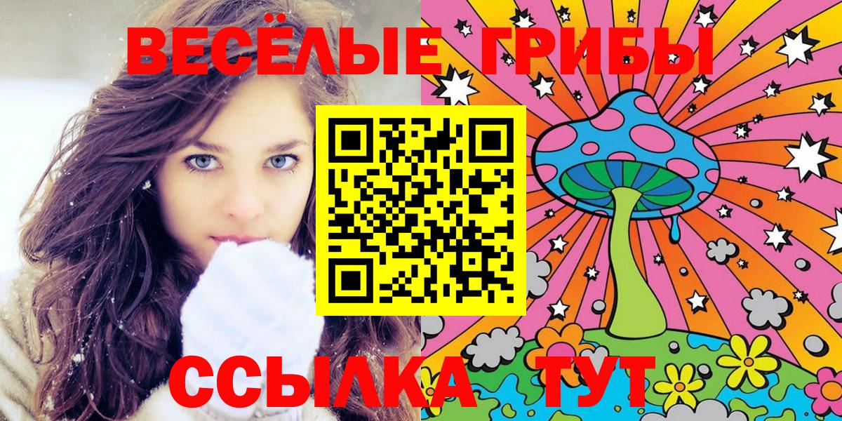 Псилоцибиновые грибы GOLDEN TEACHER Борзя