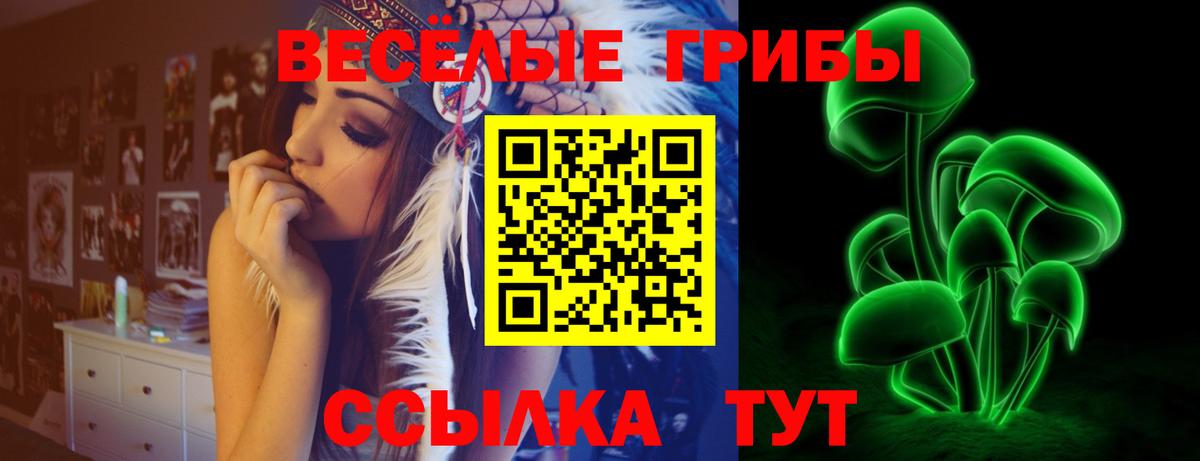 Борзя  Псилоцибиновые грибы Psilocybine cubensis  где найти наркотики  Галлюциногенные грибы прущие грибы  Вход с VPN 